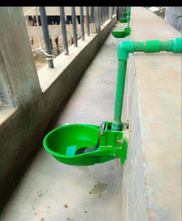 Water Drinking Bowl